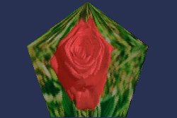rose with pentagon deformation